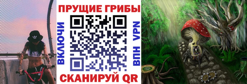 где купить Томари сайты даркнета Telegram Галлюциногенные грибы мухоморы